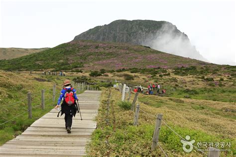 한라산 영실코스, 왜 이 길은 항상 바람이 불까?